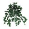 13" Mini Green English Ivy Bush - 176 Lifelike Silk Leaves, Perfect for Home, Office & Garden Décor - Year-Round Accent, Floral Home by Artificial Flowers